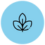 Feature icon
